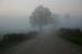 Farm_Road_Fog