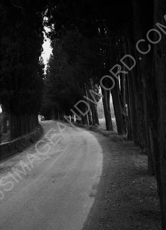 Trebbio_road_BW