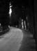 Trebbio_road_BW