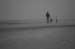 Fog_walk_BW