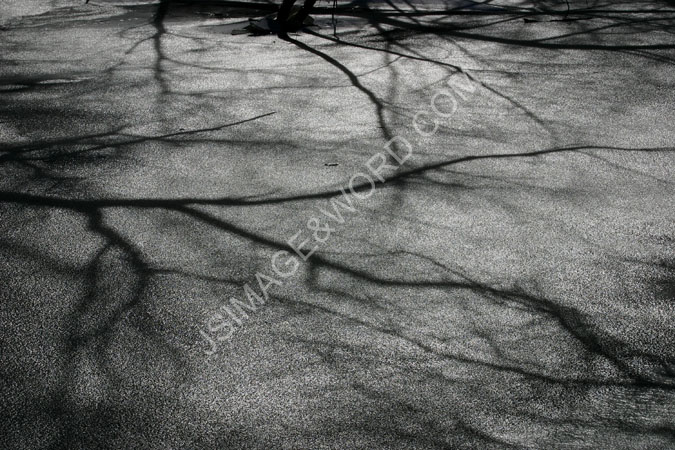 BW_Ice_Shadows 