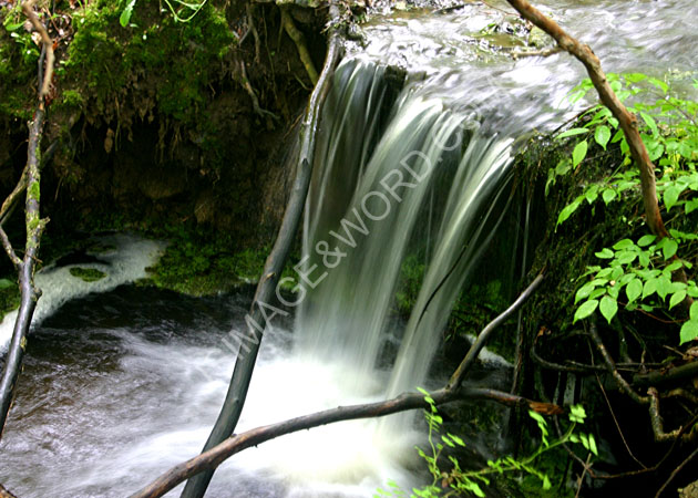 Chapel_Pond_stream