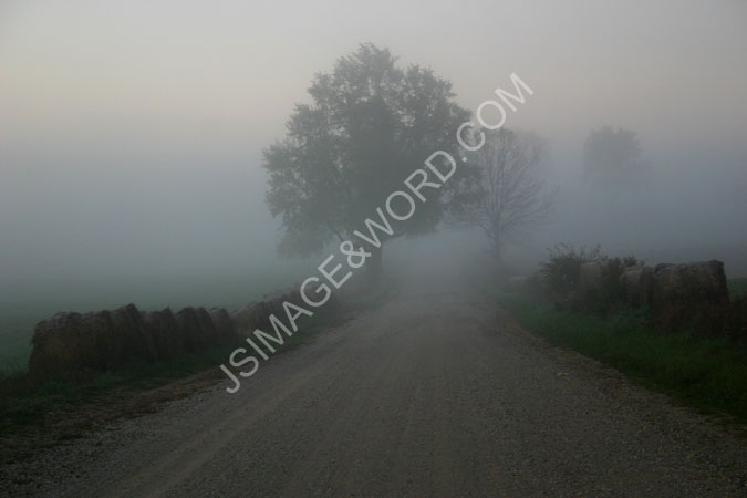 Farm_Road_Fog