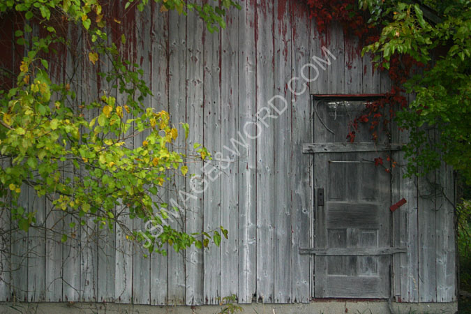 Farm_Shed